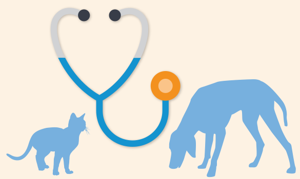 Stage 1 of the IRIS CKD guidelines: diagnose
