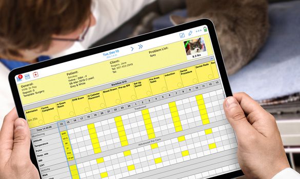 SmartFlow treatment sheets being used on an iPad