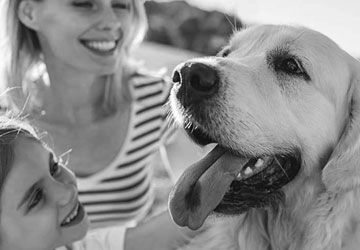 Golden retriever with little girl and mom.